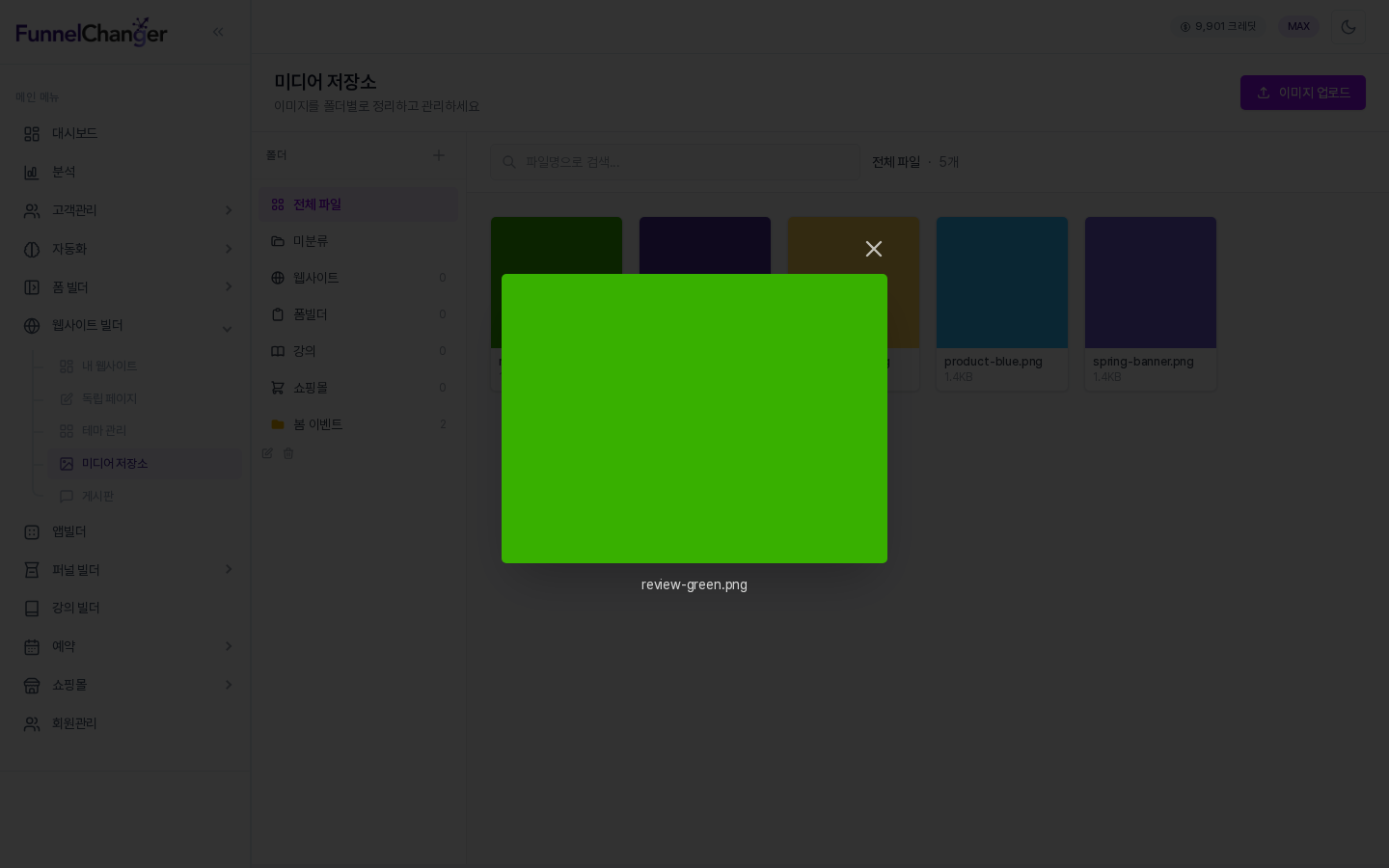 초록색 이미지가 크게 열린 미리보기 창. 아래에 review-green.png 파일명이 보이고 오른쪽 위에 닫기 버튼이 있습니다